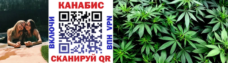 Марихуана план  Сурск 